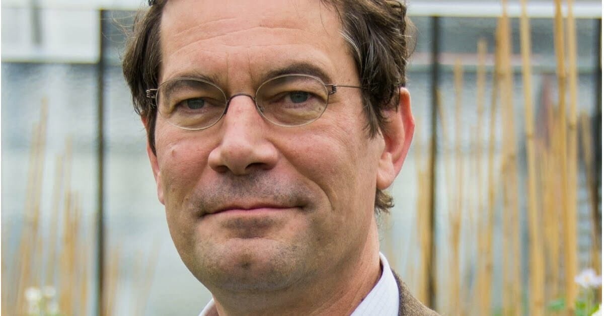 Solynta sichert sich 20 Mio. € Finanzierung der EIB für die Entwicklung krankheitsresistenter Kartoffelsorten