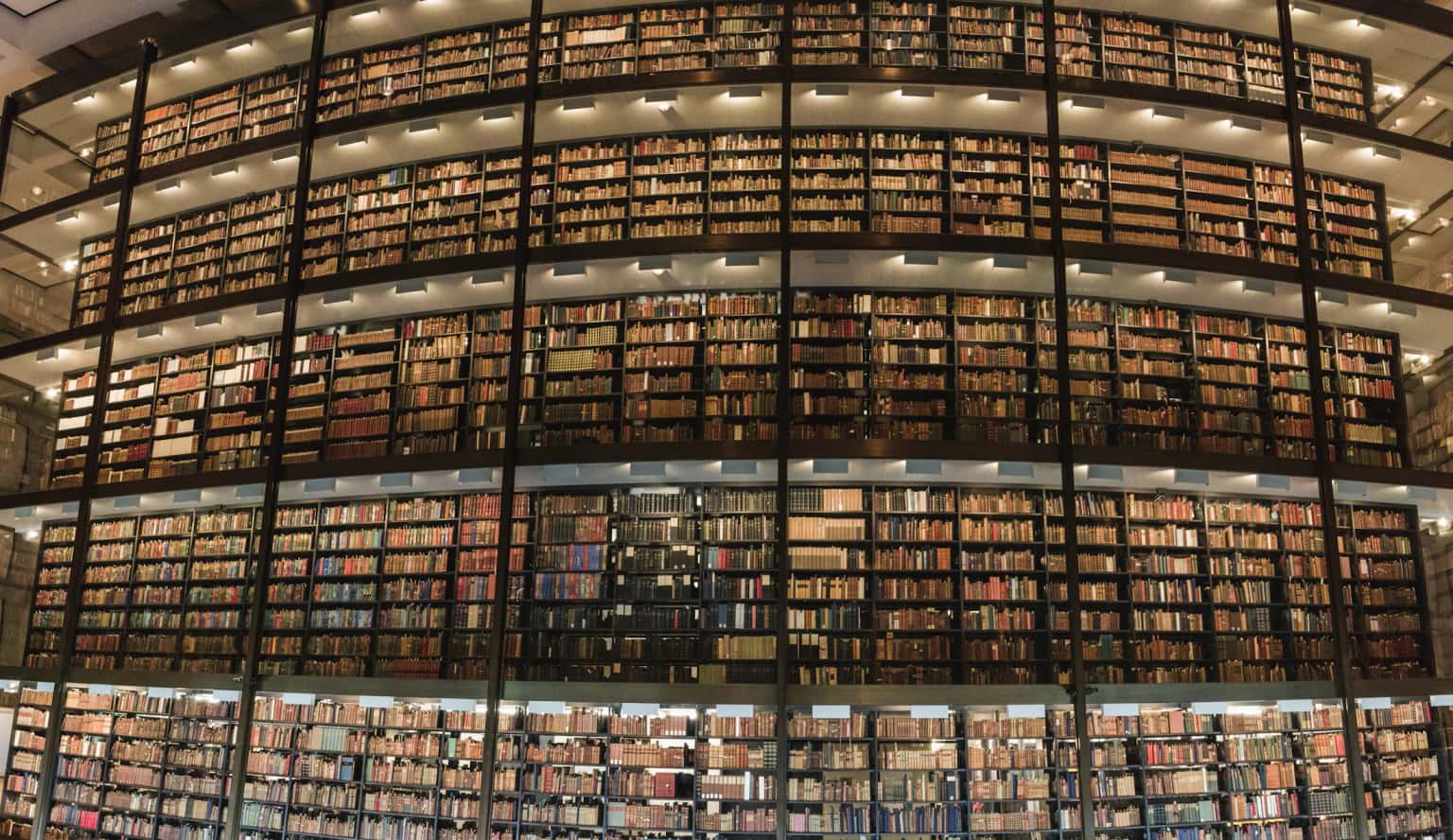 Risikomanagement à la Yale: Lessons Learned für Ihr Ärzte-Depot