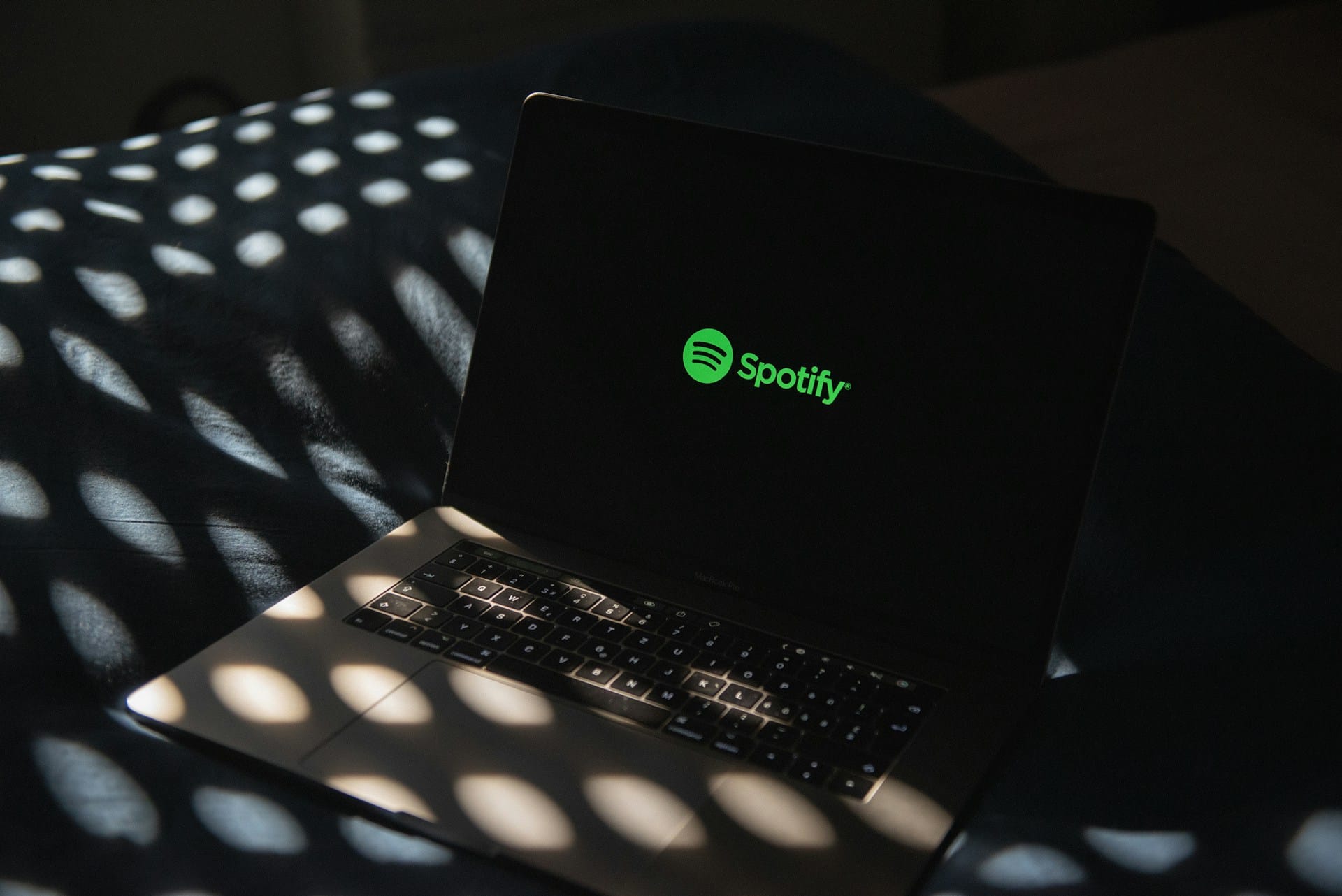 Vom Spotify-Nutzer zum Spotify-Investor: Die Mechanik erfolgreicher Venture Capital Investments verstehen