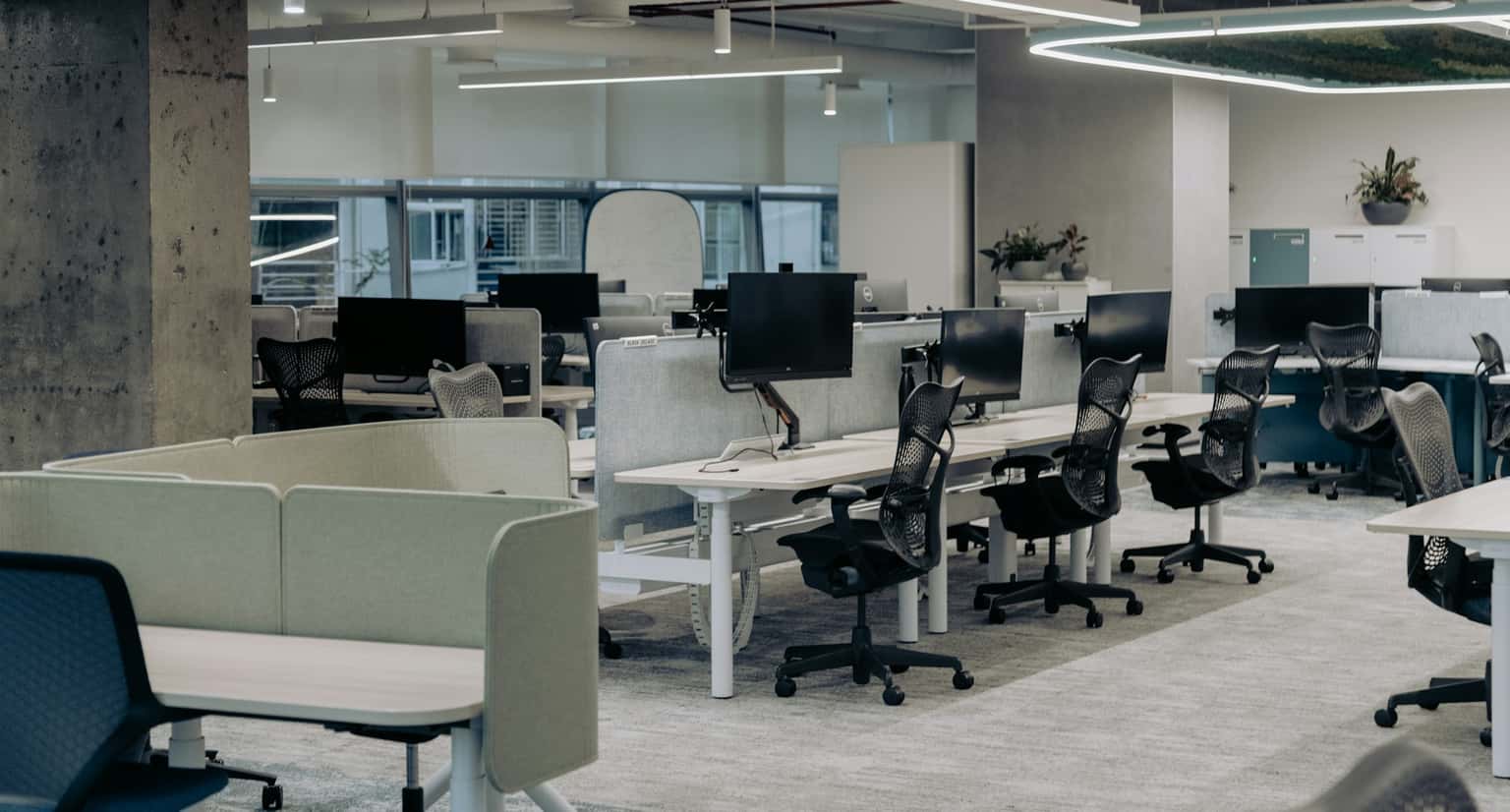 Die Macht der Mitarbeiter-Nummer 50-200: Warum späte Early Employees die besten Investoren sind