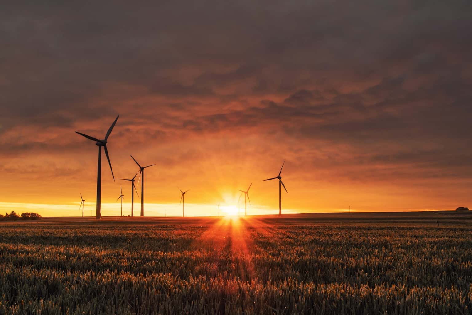 Wenn Politik die Climate-Tech-Finanzierung erschüttert: Was der BayWa-Schock für Venture-Capital-Investments bedeutet
